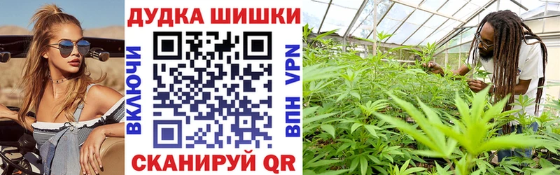 Каннабис SATIVA & INDICA  блэк спрут ССЫЛКА  Зея 